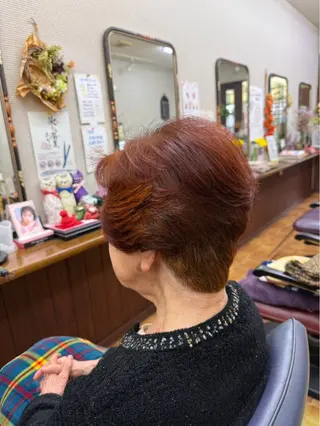 ショート 河本 正美のヘアスタイル