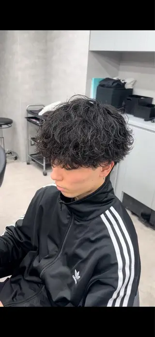 ショート カラー 福井祥太／海外風 /プードルパーマのヘアスタイル