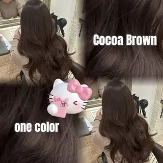 ロング カラー レイヤー/顔周り/ 韓国ヘア🩶フウカのヘアスタイル