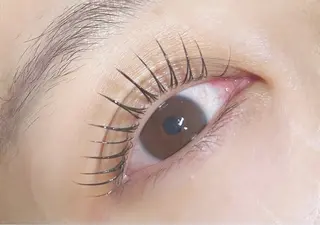 マツエク・マツパ Gran by MOLLA所属・Gran /satoのマツエク・マツパデザイン