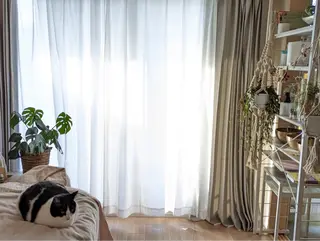 stress care salon 海と猫所属・小顔salon 古田琴のエステ・リラクイメージ