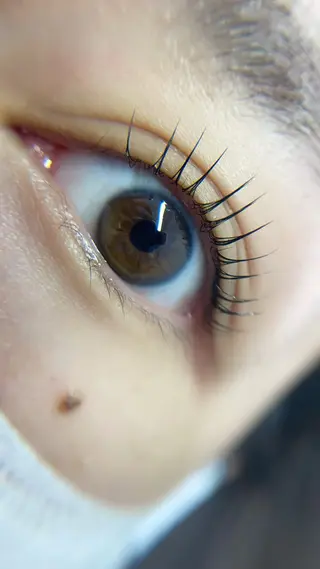 マツエク・マツパ JUJU byTANEのマツエク・マツパデザイン