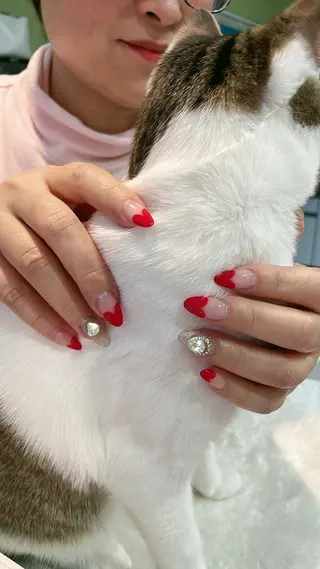 ネイル 美容室アイカ所属・大宮美容室IKA エステサロンのマツエク・マツパデザイン