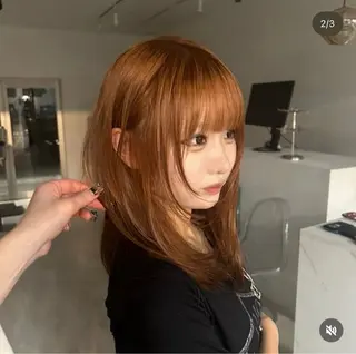 セミロング カラー ウルフカット / ケアブリーチのヘアスタイル