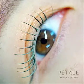 マツエク・マツパ PETALE所属・PETALE ペタルのマツエク・マツパデザイン