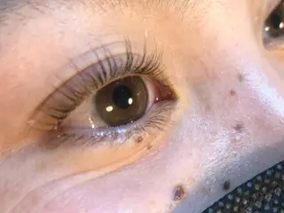 マツエク・マツパ Lulu nerineのマツエク・マツパデザイン