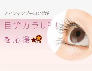 マツエク・マツパ OVER  SEAオーバーシー所属・森 陽子のマツエク・マツパデザイン