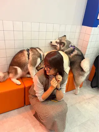 ショート パーマ ヘアアレンジ メンズ CHIC share salon所属・ちこ .のヘアスタイル