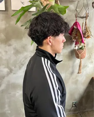 ミディアム パーマ メンズ 木村陸弥 似合わせ 透明感カラー🌿のヘアスタイル