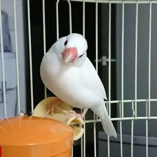 g*rossa高橋 くみこのエステ・リラクイメージ