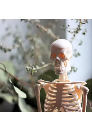 河合 英璃菜のその他イメージ