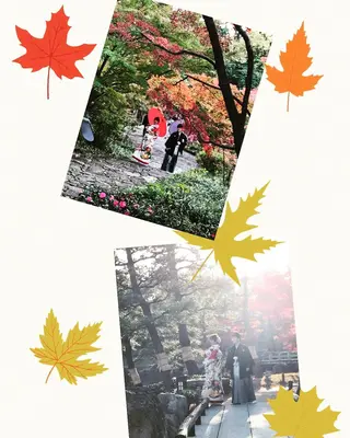 greenleaf (グリーンリーフ)所属・山田 紫乃のマツエク・マツパデザイン