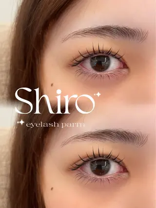 マツエク・マツパ まつ毛・眉毛専門Shiro 佐鳴台店所属・⠀ amiのマツエク・マツパデザイン