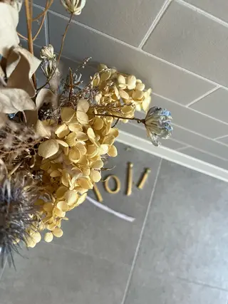 マツエク・マツパ loji所属・ナチュラル眉サロン 🌿lojiロジの眉毛・アイブロウイメージ