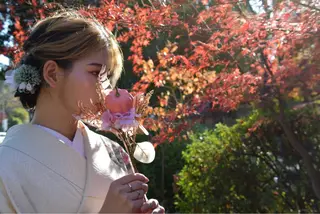 着物　Towa所属・ちぃ ♡のその他イメージ