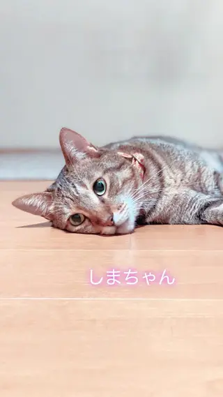 TOTAL BODY CARE SALON SUNNY所属・整体小顔･筋膜オイル ブライダルエステのエステ・リラクイメージ