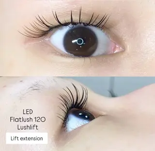 マツエク・マツパ LEDエクステ専門店 Fedis 京橋のマツエク・マツパデザイン