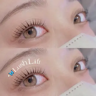 マツエク・マツパ Luxe ···▸﻿ Seike🐈‍⬛⸒の眉毛・アイブロウイメージ