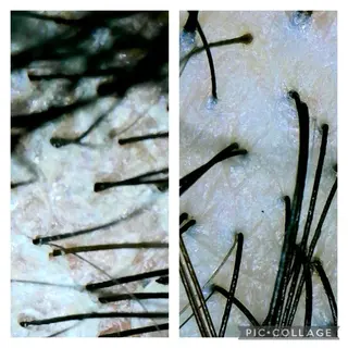 ð
ð
€ð
©ð
ð
salonã®ãšã¹ãã»ãªã©ã¯ã€ã¡ãŒãž