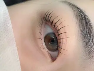 パーマ stunner eyelashのマツエク・マツパデザイン