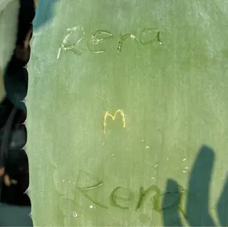 hair salon　丹tan所属・Rena✴︎トレンド ×スタンダードMIXのヘアスタイル