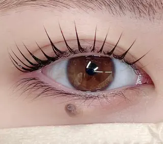 マツエク・マツパ 🥀Saito Tomomi🥀のマツエク・マツパデザイン