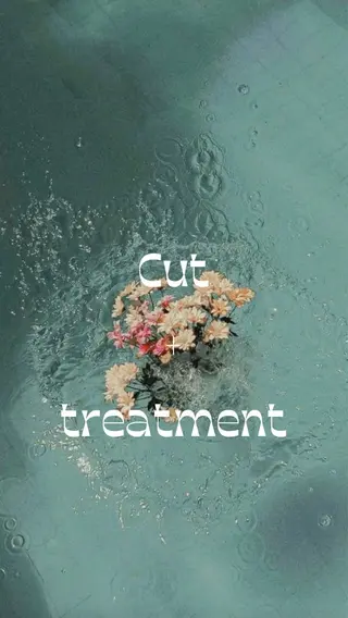 セミロング 髪質改善/レイヤー 🫧山本勇輝🫧のヘアスタイル