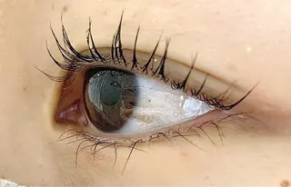 ãããšã¯ã»ããã MI YAððžðã®ãããšã¯ã»ããããã¶ã€ã³