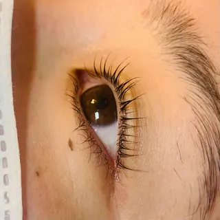 マツエク・マツパ Celeste Venus所属・🧸Celeste Venusのマツエク・マツパデザイン