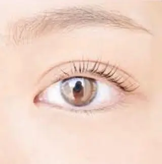 マツエク・マツパ SIERA シエラ 小林の眉毛・アイブロウイメージ