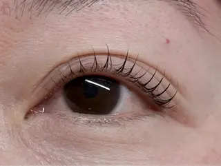 マツエク・マツパ トータルビューティー サロン・Ｎの眉毛・アイブロウイメージ