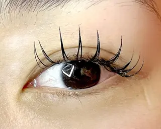 マツエク・マツパ Celeste Venus所属・🧸Celeste Venusのマツエク・マツパデザイン