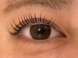 マツエク・マツパ Daisy lash 京橋店堀井のマツエク・マツパデザイン