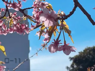 プライベートサロン 花水月のエステ・リラクイメージ