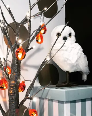 マツエク・マツパ Hug me eyelashのマツエク・マツパデザイン