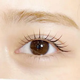 マツエク・マツパ one. stop.laboの眉毛・アイブロウイメージ