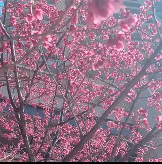 ミディアム カラー ヘアアレンジ メンズ キッズ GOTODAY SHAiRE SALON (原宿本店)所属・stylist 🎀 kanaのその他イメージ