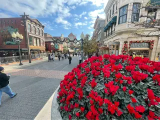 マツエク・マツパ mika まつパ|眉毛【横浜】のマツエク・マツパデザイン