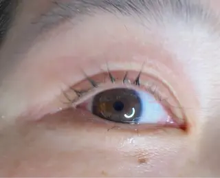 マツエク・マツパ 目黒　フリヴィ 🤎HIROMIのマツエク・マツパデザイン