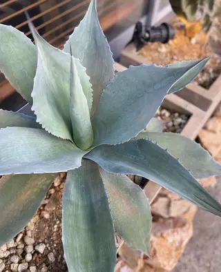 ネイル Yumi 広尾|恵比寿ネイルのネイルデザイン