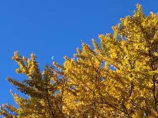 basico  のエステ・リラクイメージ