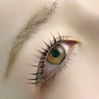 マツエク・マツパ mily+me所属・佐々木 麻帆のマツエク・マツパデザイン