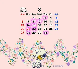 アイブロウ マツエク・マツパ ネイル パーマ ショート カラー メンズ ヘアアレンジ キッズ spa hair  ark 富井直美のヘアスタイル