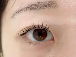 マツエク・マツパ eyelash&eyebrow Lupinus【ルピナス】所属・Lupinus 南草津店のマツエク・マツパデザイン