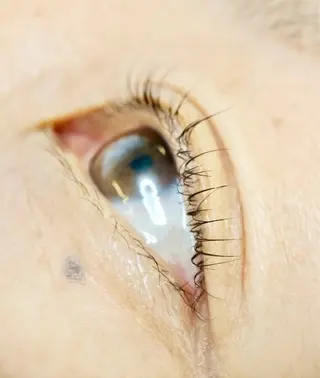 マツエク・マツパ I ちゆきのマツエク・マツパデザイン