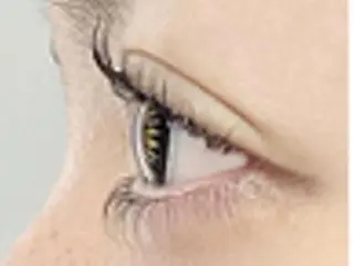 マツエク・マツパ tiara 梅田店のマツエク・マツパデザイン