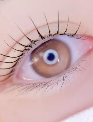 マツエク・マツパ eyelist. mizuki🐈‍⬛の眉毛・アイブロウイメージ