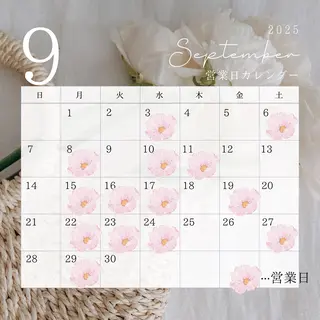 マツエク・マツパ Tani seikaのマツエク・マツパデザイン