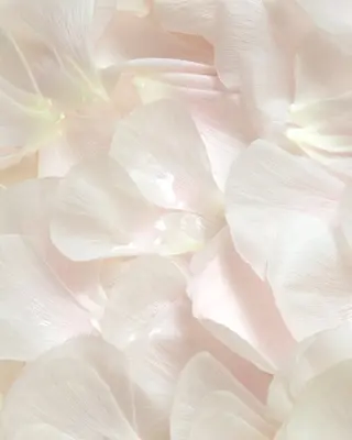 吉乃 プライベートサロンのその他イメージ