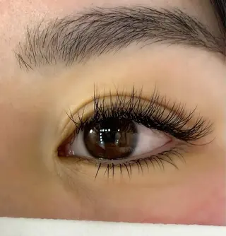 マツエク・マツパ Celeste Venus所属・🧸Celeste Venusのマツエク・マツパデザイン